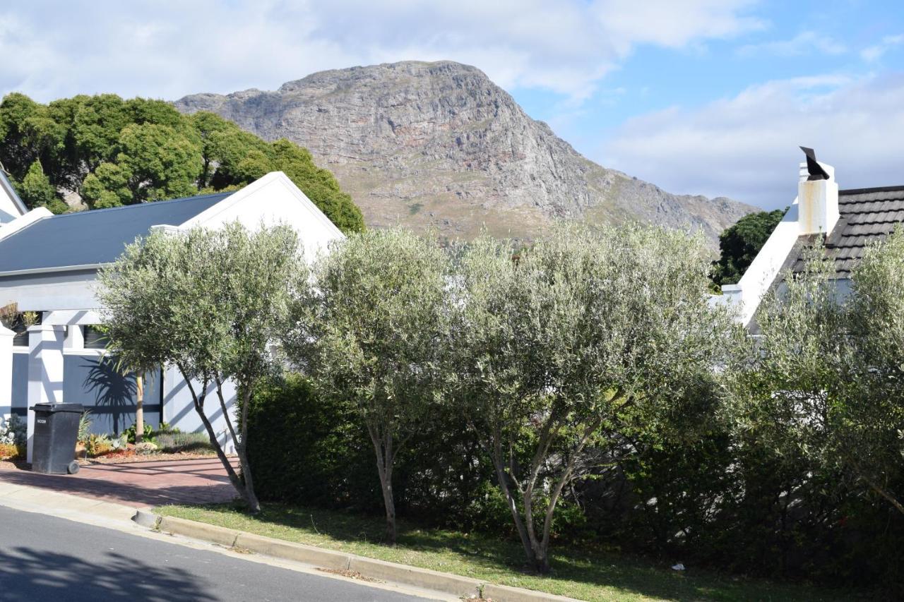 Protea Studio Franschhoek Central Extérieur photo
